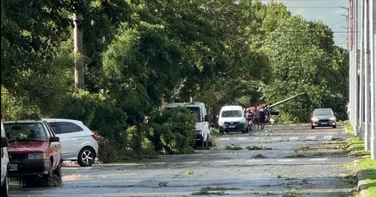 Nuacutemeros de la semana