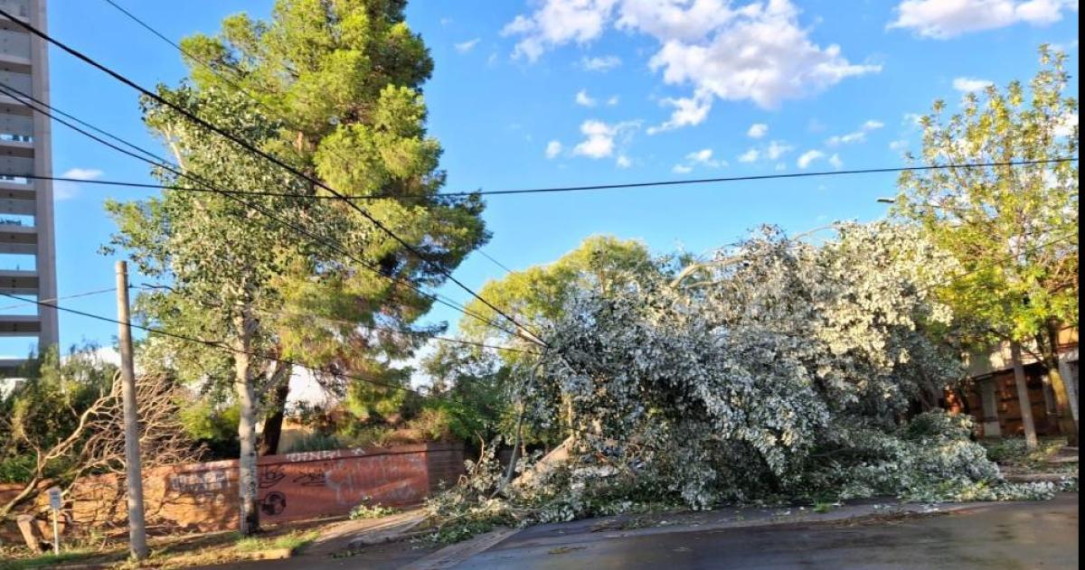 Imaacutegenes de la semana