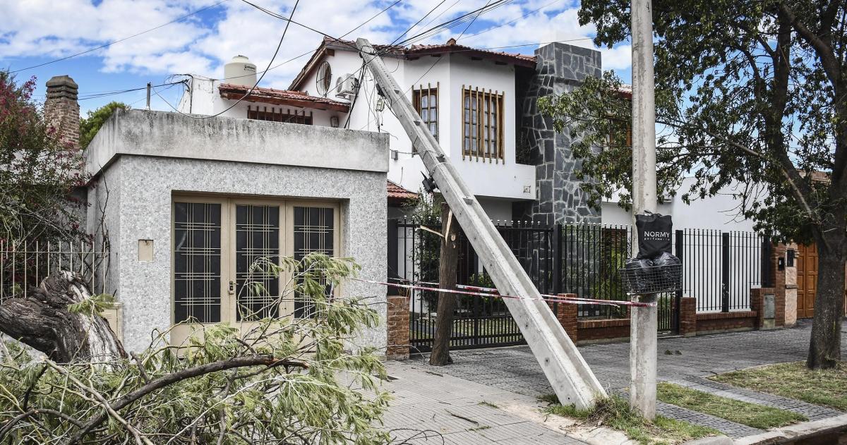 El escenario de palmeras destruídas que dejó el tornado es desolador