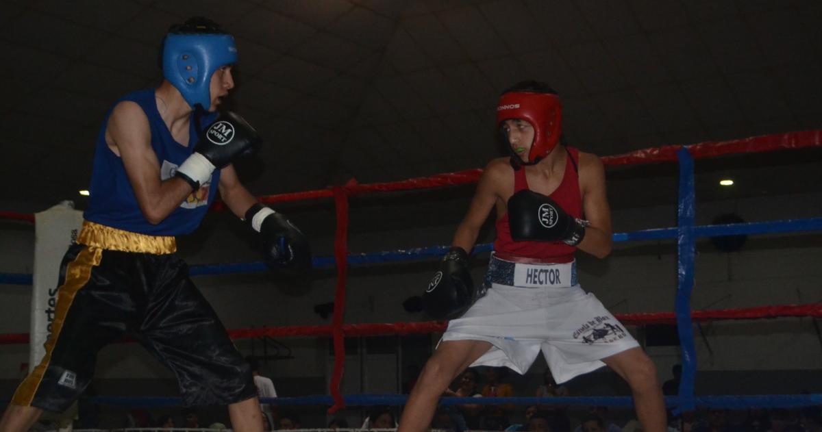 El viernes accioacuten de los aficionados