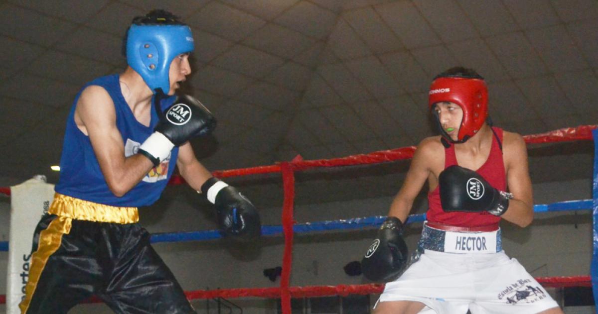 El viernes accioacuten de los aficionados