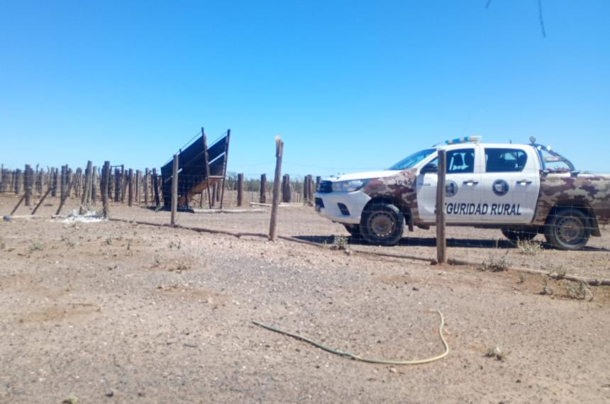 El golpe incluyó la comercialización de 43 vacunos