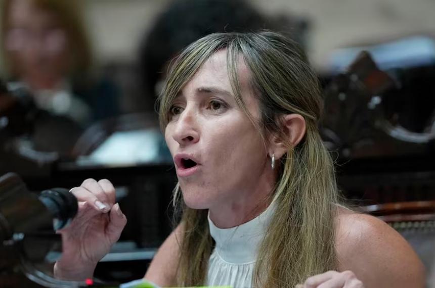 El proyecto fue presentado por la diputada nacional Mercedes Llano
