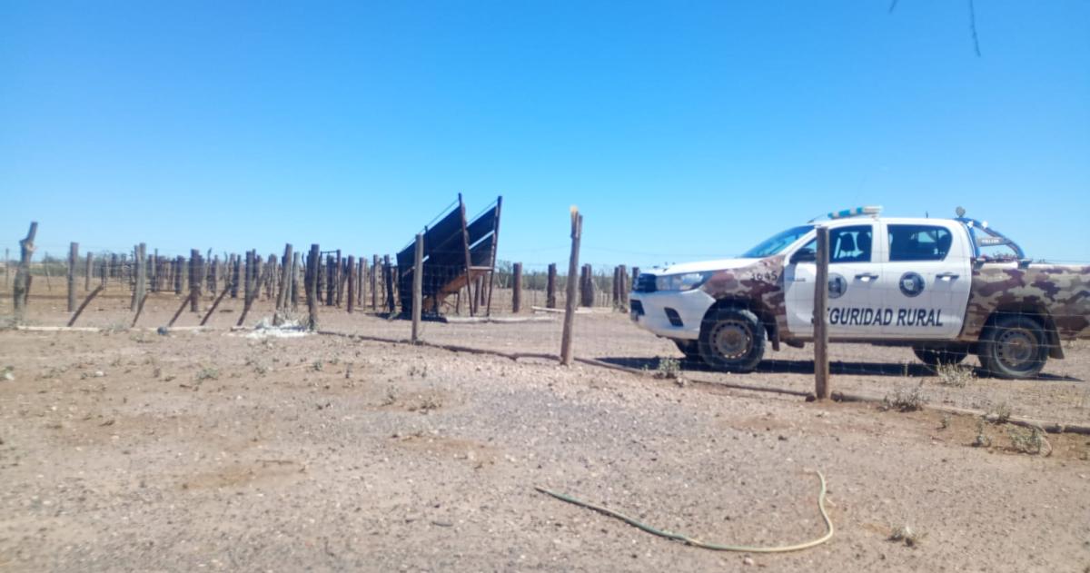 El golpe incluyó la comercialización de 43 vacunos