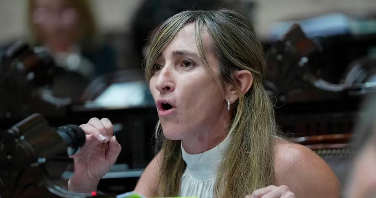 El proyecto fue presentado por la diputada nacional Mercedes Llano