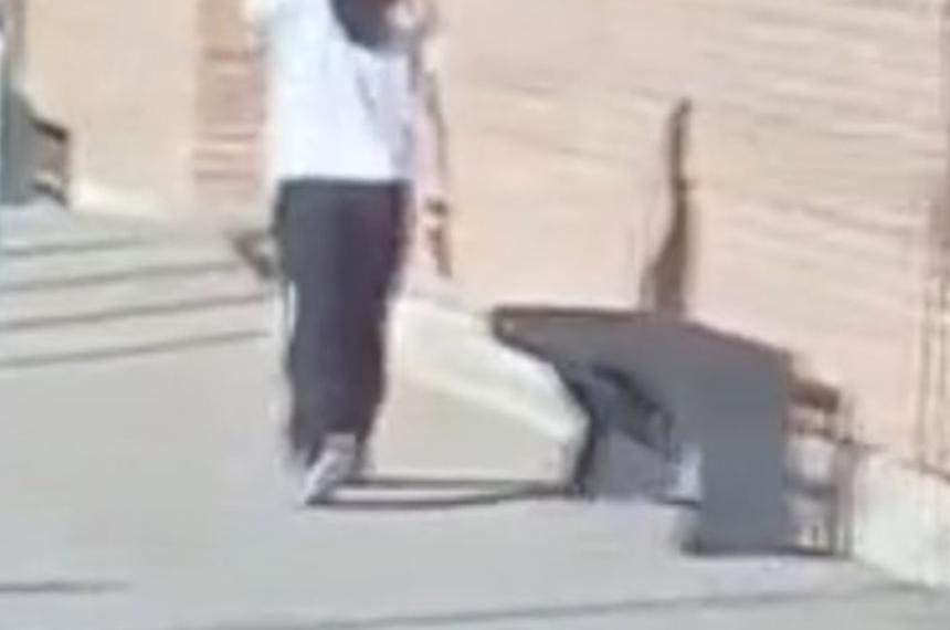 La adolescente disparó un arma dentro del establecimiento educativo