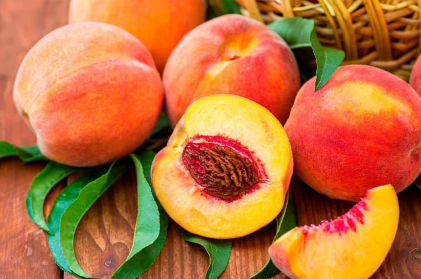 El durazno- Mucho maacutes que una cara bonita y un aroma seductor