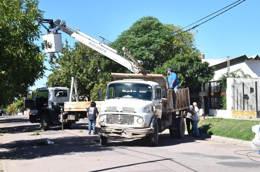 El municipio retira postes ilegales y cargaraacute los costos a Clariacuten