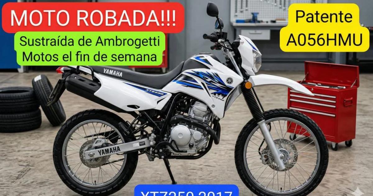 También se llevaron una Yamaha XTZ 250 usada
