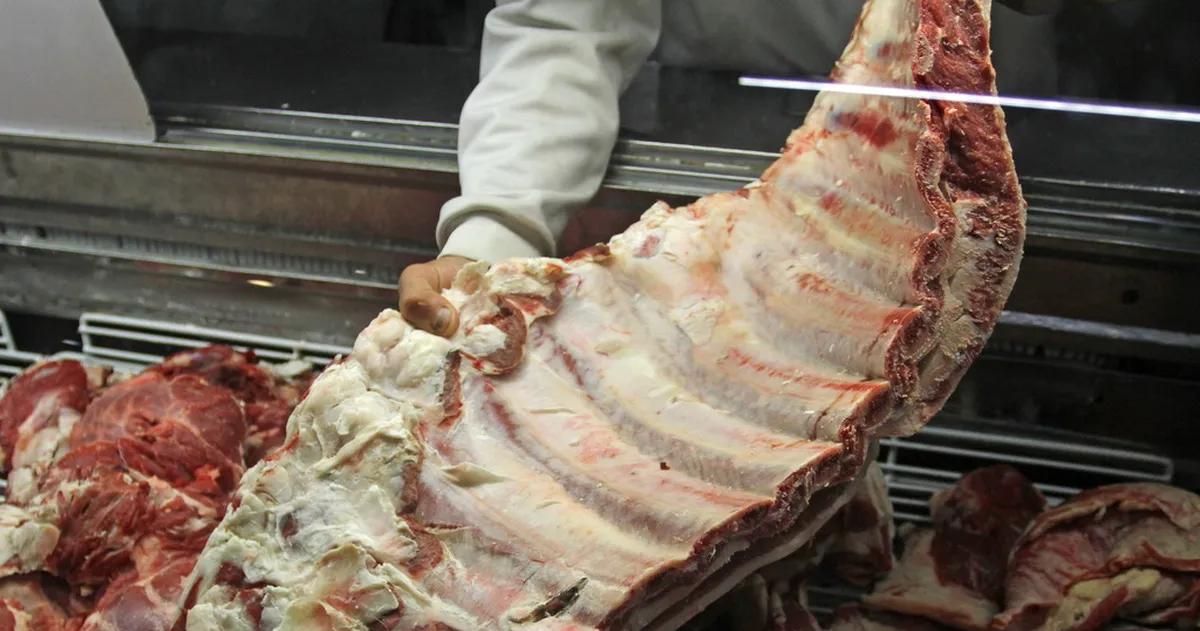 SENASA congeloacute un fallo que frenaba el ingreso de carne con hueso en el sur 