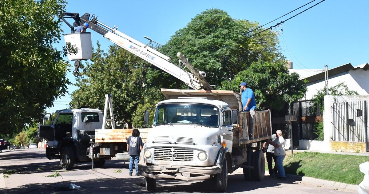 El municipio retira postes ilegales y cargaraacute los costo a Clariacuten