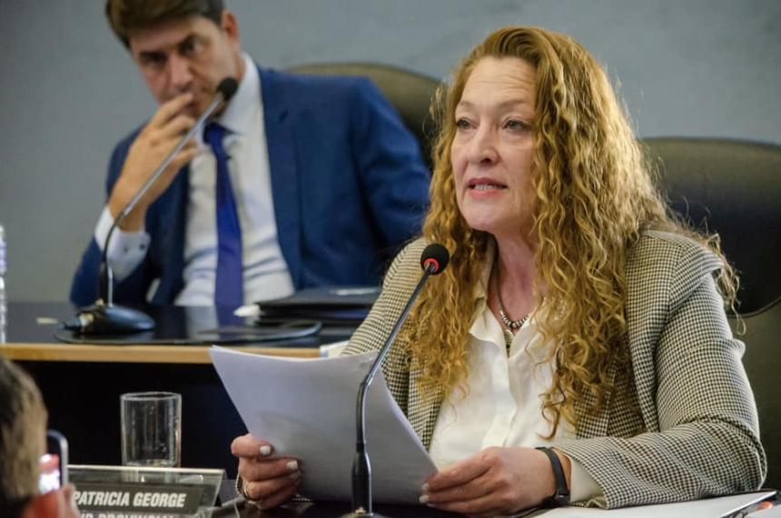 Una propuesta oficialista para crear un Consejo del Personal Policial