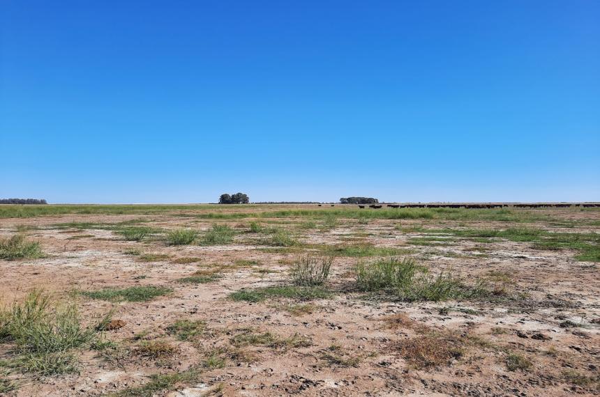Organizan observatorio de experiencias productivas para enfrentar la salinizacioacuten de los suelos