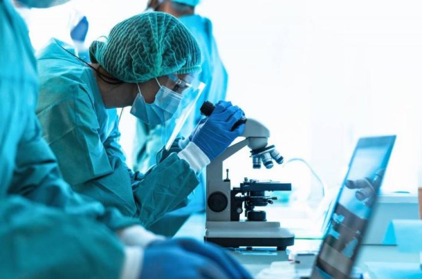 Otorgaraacuten becas para formacioacuten en biacuteo y nanotecnologiacutea