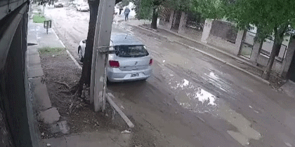 Atropelloacute a un perro con una camioneta oficial de la APA y no frenoacute