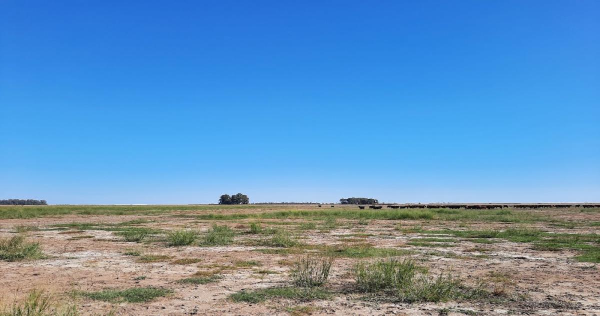 Organizan observatorio de experiencias productivas para enfrentar la salinizacioacuten de los suelos