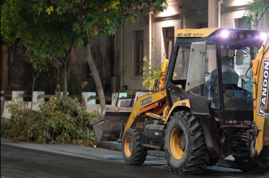 El municipio sigue arbolando y sentildealizando escuelas