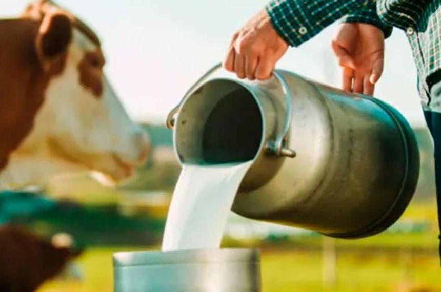 El Gobierno le baja el pulgar a una hormona clave en tambos- prohiacuteben la rBST para aumentar la produccioacuten de leche