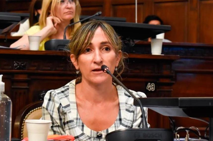Una diputada libertaria quiere psicoteacutecnico para poliacuteticos- propone exaacutemenes obligatorios antes de asumir