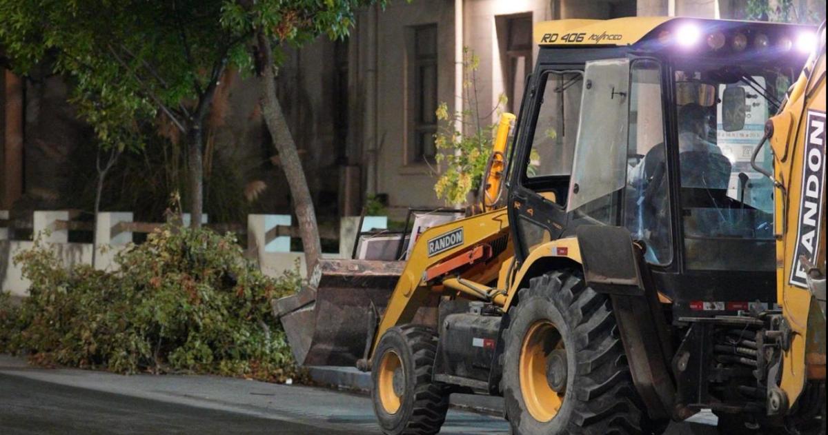 El municipio sigue arbolando y sentildealizando escuelas