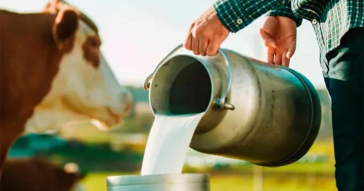 El Gobierno le baja el pulgar a una hormona clave en tambos- prohiacuteben la rBST para aumentar la produccioacuten de leche