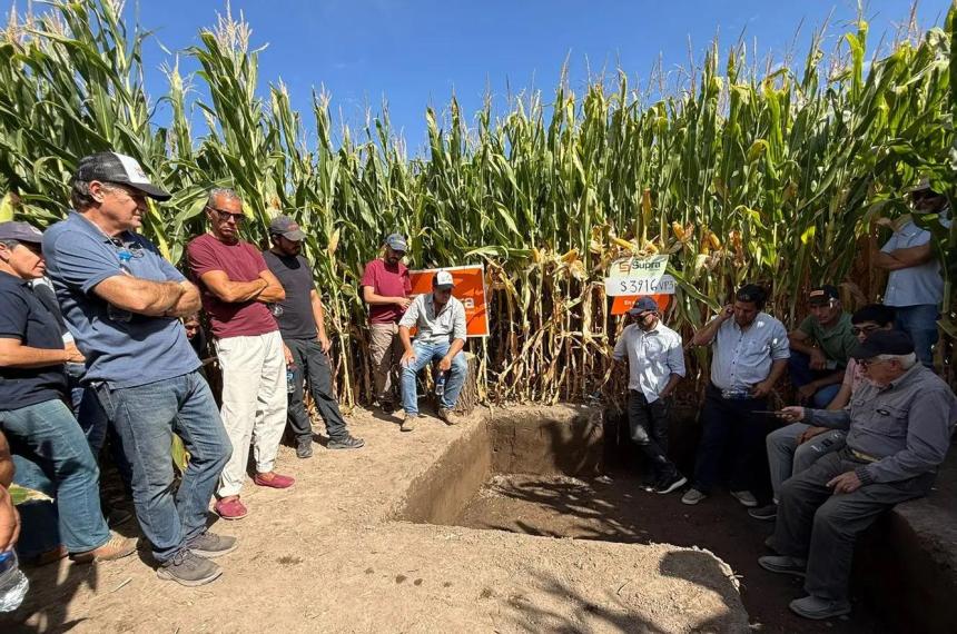 Riacuteo Negro- la nueva frontera del desarrollo agroindustrial argentino
