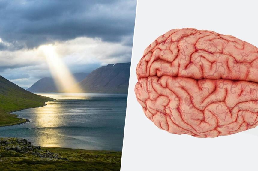 La oración o meditación ayuda a estabilizar ciertas �reas del cerebro