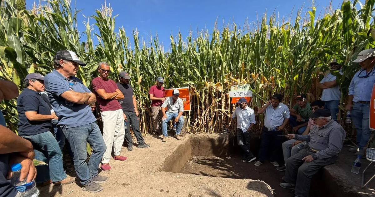 Riacuteo Negro- la nueva frontera del desarrollo agroindustrial argentino