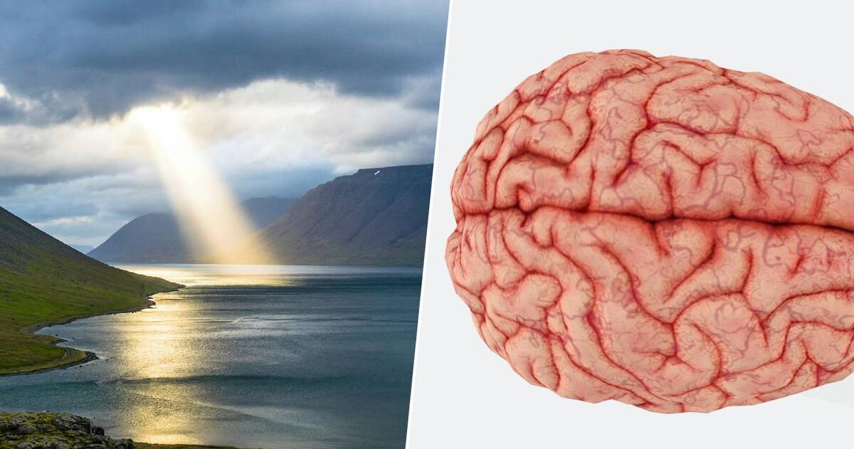 La oración o meditación ayuda a estabilizar ciertas �reas del cerebro