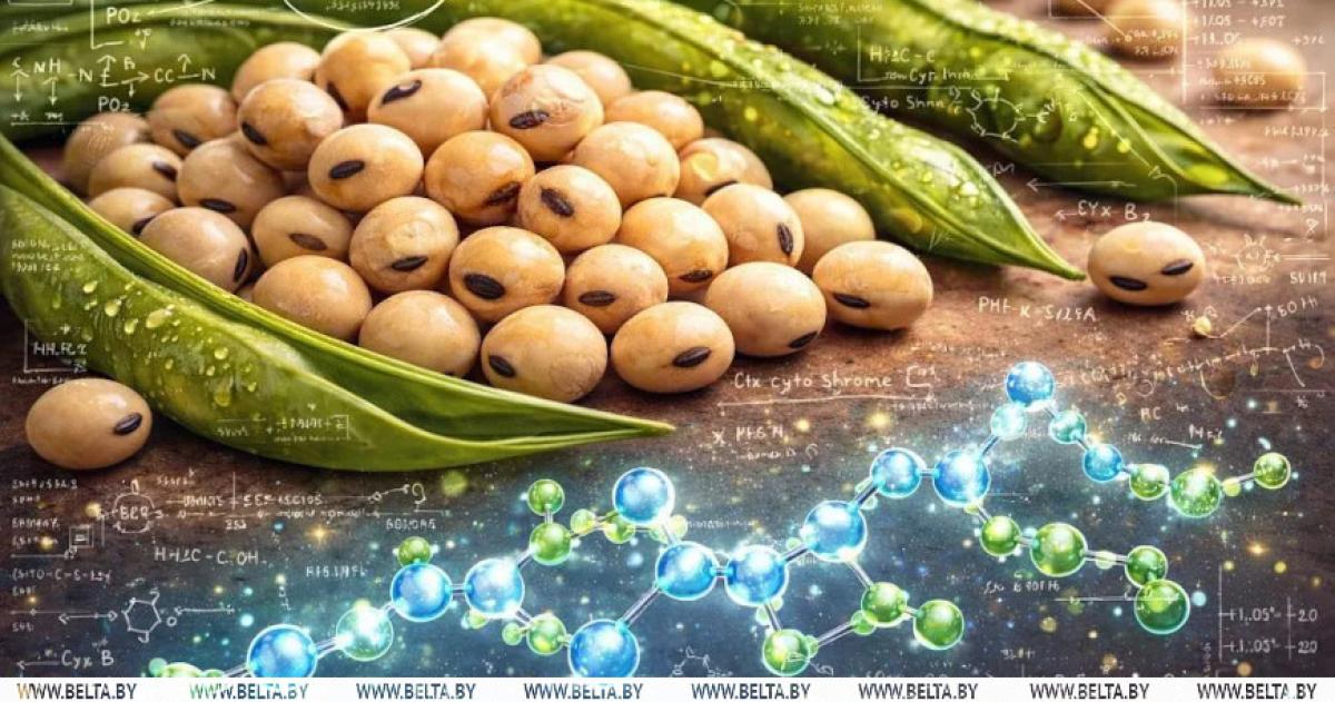 La soja un alimento que depara varias sorpresas