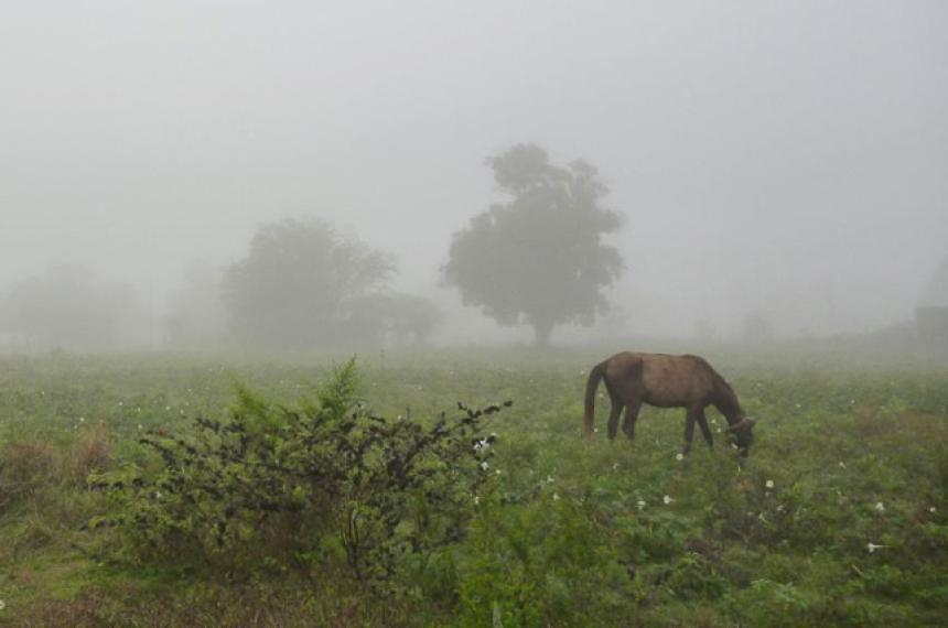 El fenómeno incluyó chaparrones intensos actividad eléctrica y caída de granizo