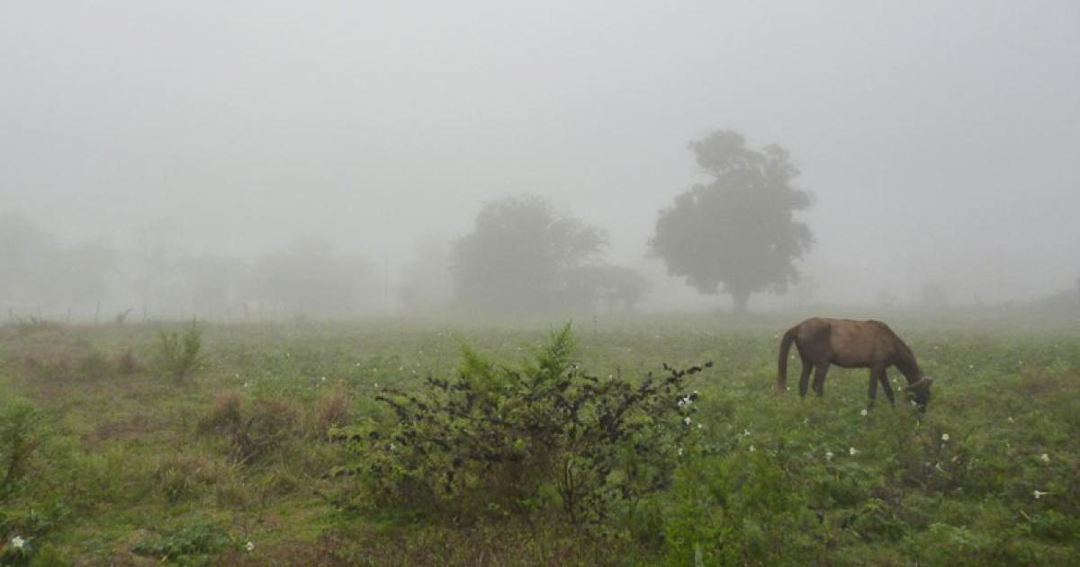 El fenómeno incluyó chaparrones intensos actividad eléctrica y caída de granizo