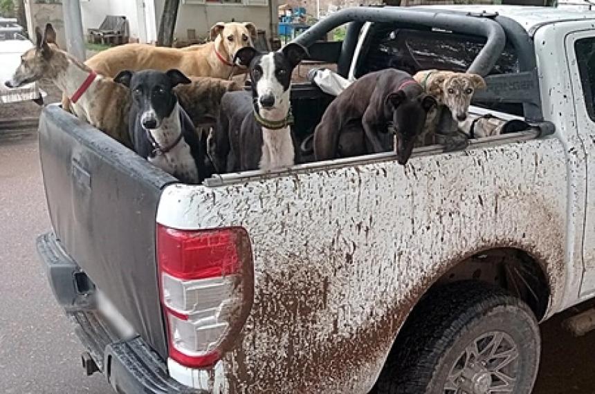 Los cazadores no tenían permisos ni habilitaciones