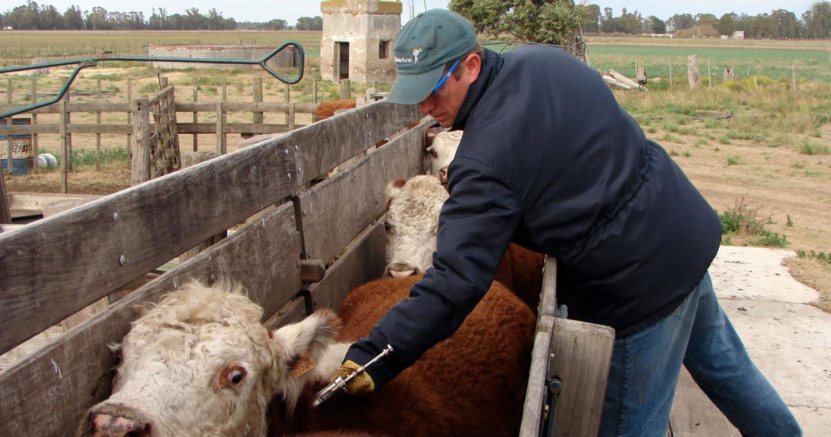 La Agriacutecola pide un plan sanitario moderno y destaca el primer paso de SENASA