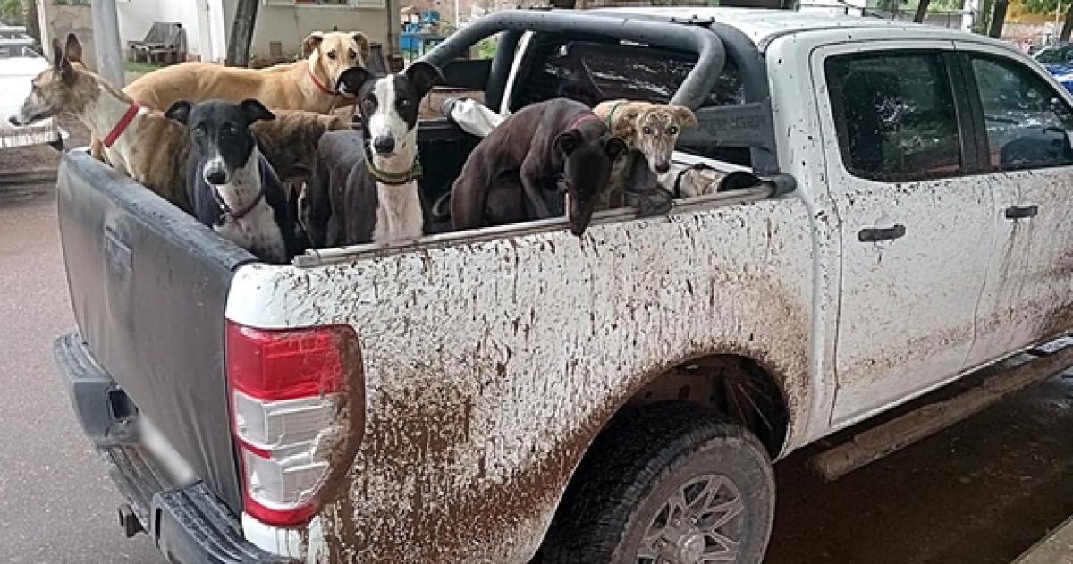 Los cazadores no tenían permisos ni habilitaciones