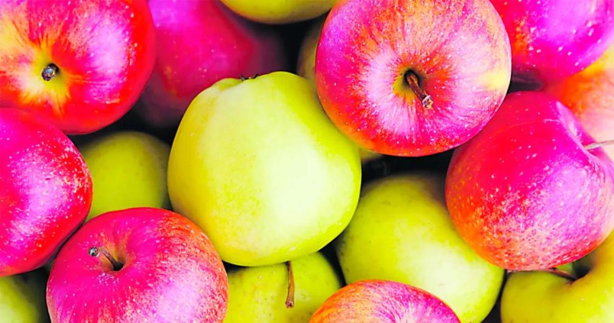 La fruta subestimada que ahora se vuelve estrella- la manzana gana terreno en la dieta saludable