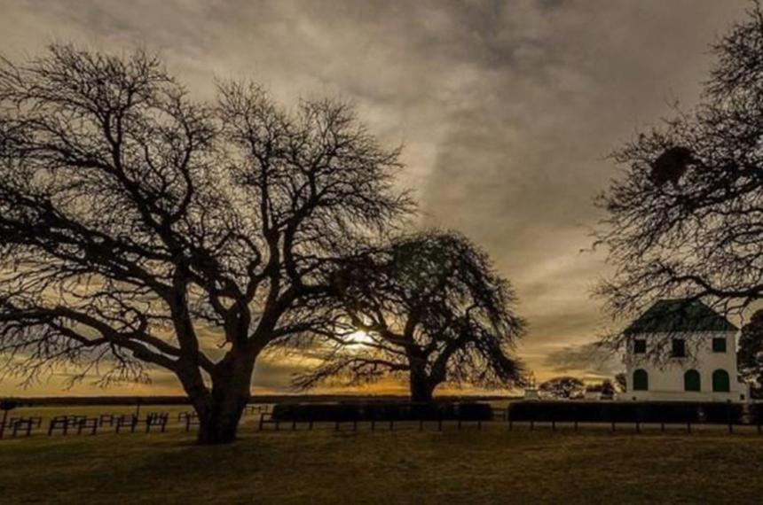Diacutea Internacional de los Bosques- caminata guiada en Parque Luro