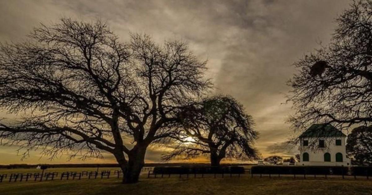 Diacutea Internacional de los Bosques- caminata guiada en Parque Luro