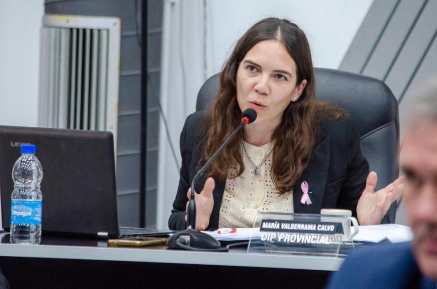 Diputada Andrea Valderrama (UCR)