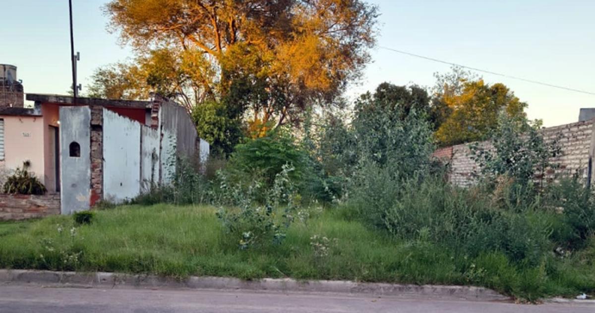 El terreno cedido a la Fundación Dupuy presenta un estado de abandono