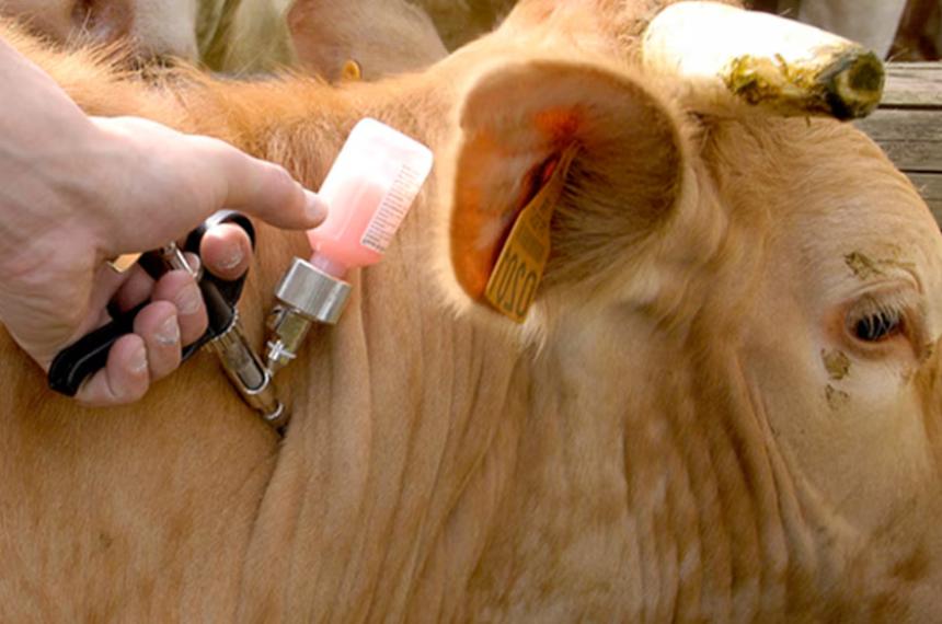 Los productores rurales ya no pagar�n de m�s en el municipio