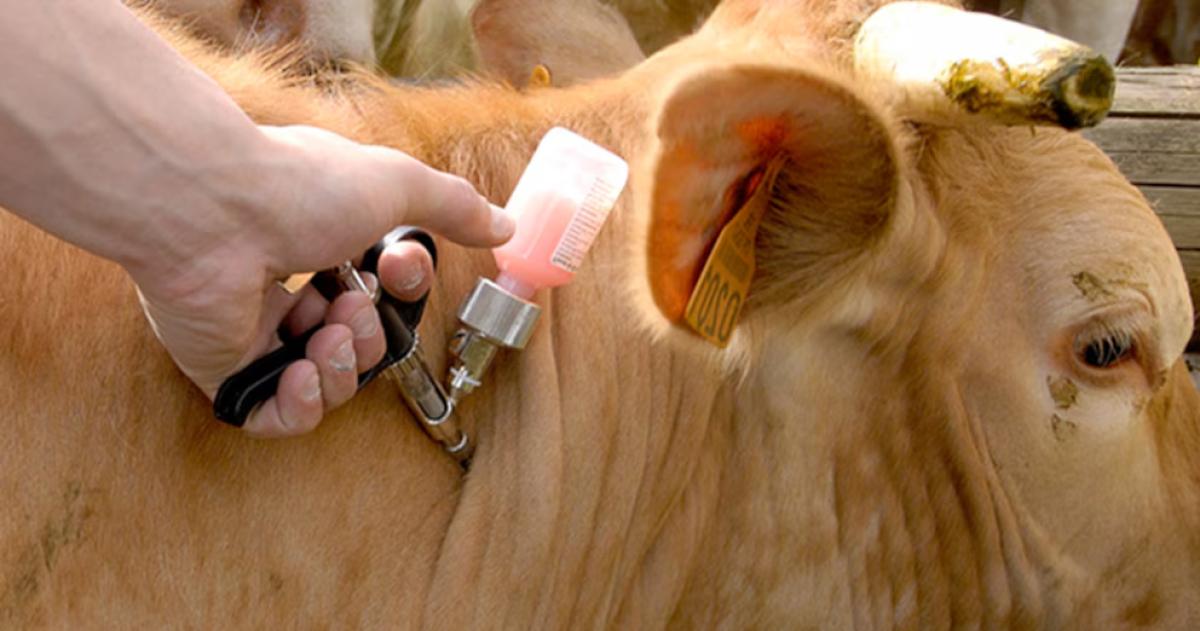 Los productores rurales ya no pagar�n de m�s en el municipio