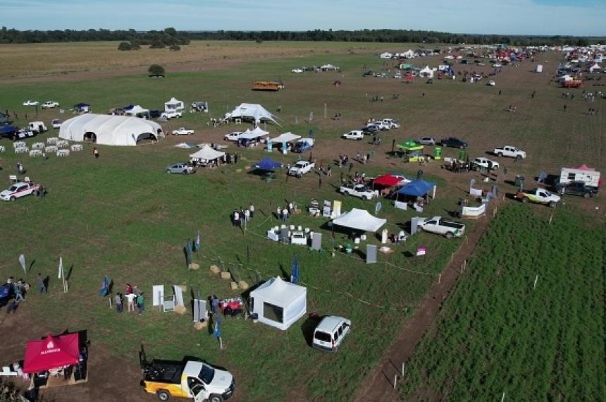 La �ltima muestra se realizó en el año 2024