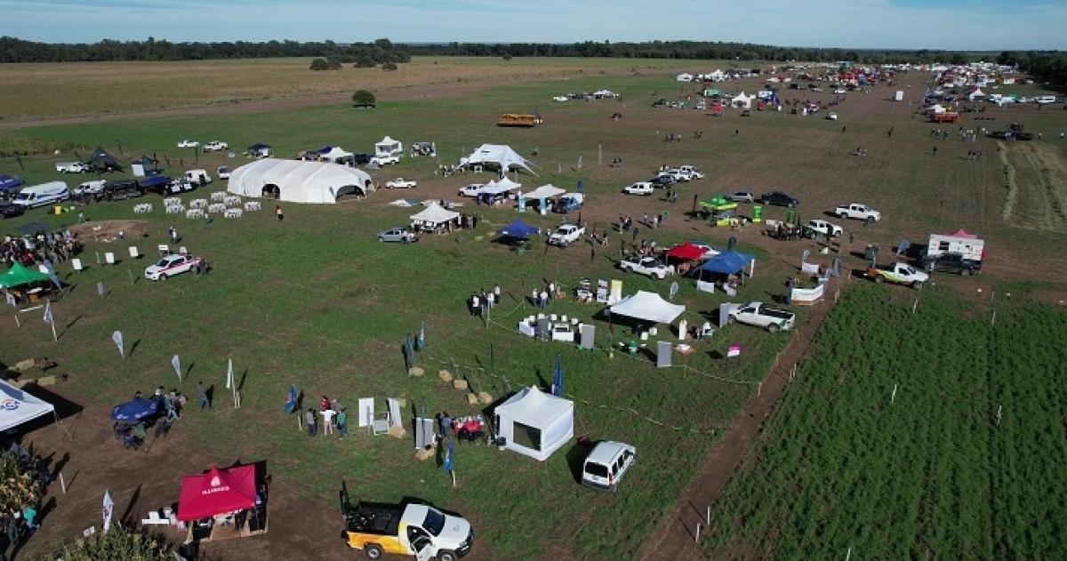 La �ltima muestra se realizó en el año 2024