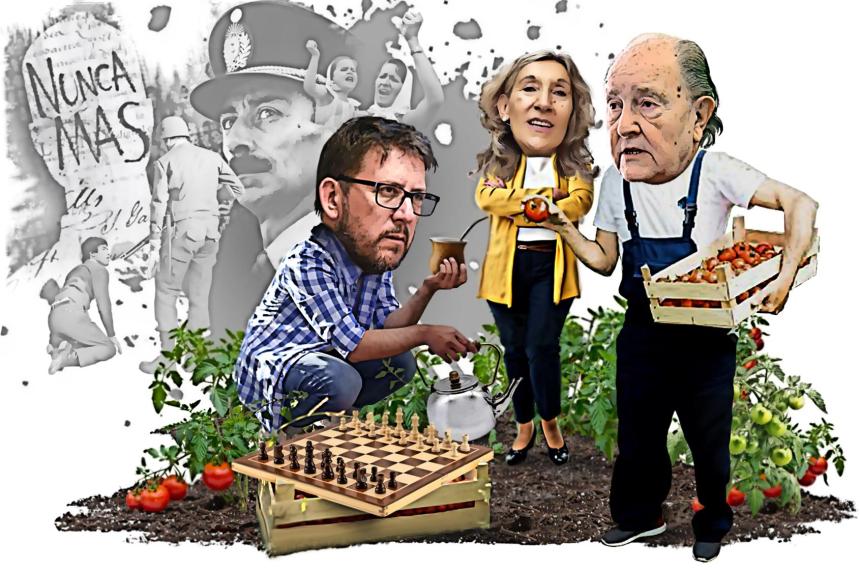 Entre el mate y los tomates