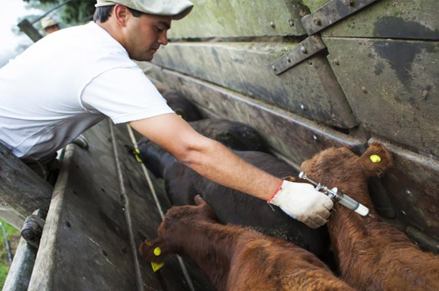 Alerta por los cambios en el sistema de vacunacioacuten