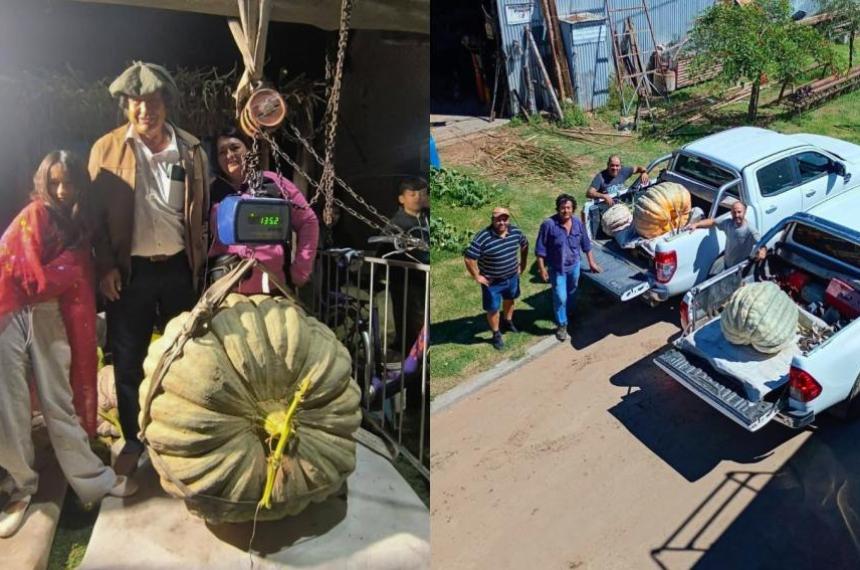 Coacuterdoba se rindioacute ante dos monstruos del campo- zapallos gigantes que rompieron reacutecords y dejaron boquiabiertos a todos
