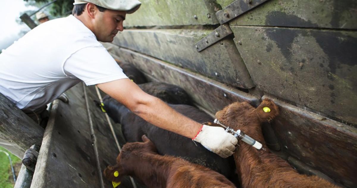 Alerta por los cambios en el sistema de vacunacioacuten