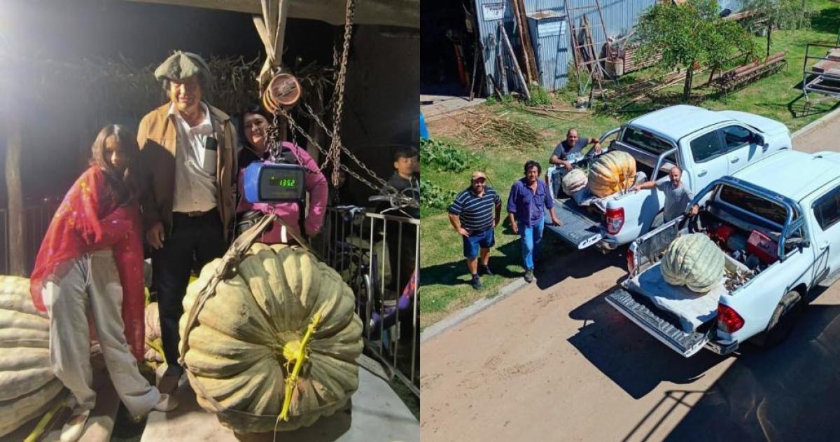 Coacuterdoba se rindioacute ante dos monstruos del campo- zapallos gigantes que rompieron reacutecords y dejaron boquiabiertos a todos