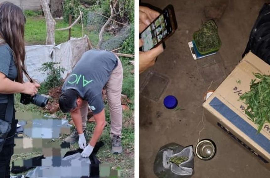 La policía también encontró un b�nker de marihuana- hay un detenido